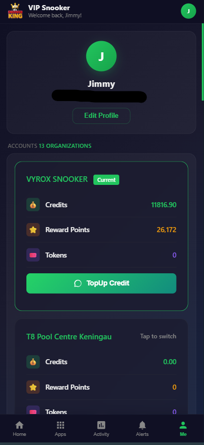 Snooker King software — Wallet Balance Overview (PNG) screenshot showing a high-resolution PNG of the same member wallet balance overview suitable for high-density displays